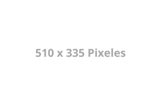 510 x 335 Pixeles